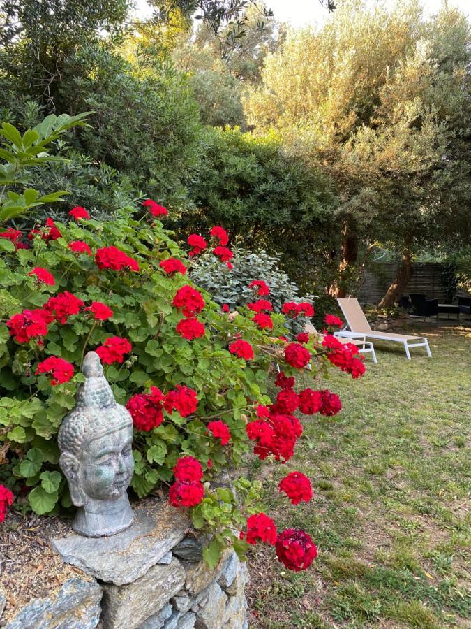 فندق U Sant'Agnellu Rogliano المظهر الخارجي الصورة