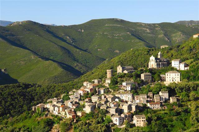فندق U Sant'Agnellu Rogliano المظهر الخارجي الصورة